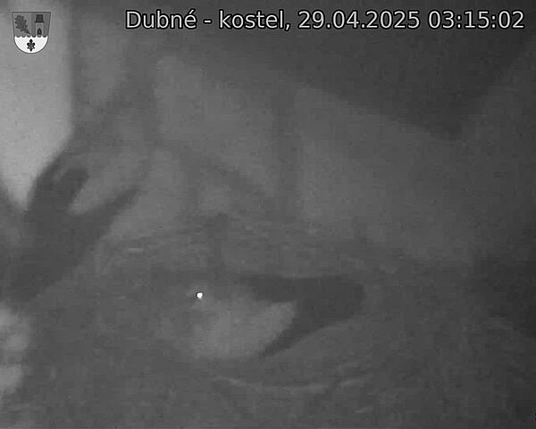 Capi_Dubne_20250429_031502.jpg (1350 x 1080)