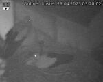 Capi_Dubne_20250429_032002.jpg