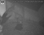 Capi_Dubne_20250429_032503.jpg