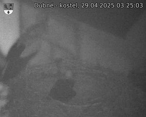 Capi_Dubne_20250429_032503.jpg (1350 x 1080)