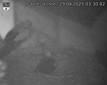 Capi_Dubne_20250429_033002.jpg