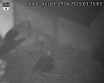 Capi_Dubne_20250429_033503.jpg