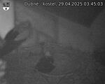Capi_Dubne_20250429_034503.jpg