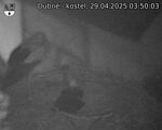 Capi_Dubne_20250429_035003.jpg