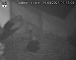 Capi_Dubne_20250429_035502.jpg