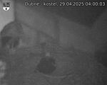 Capi_Dubne_20250429_040003.jpg