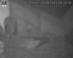 Capi_Dubne_20250429_041002.jpg