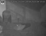 Capi_Dubne_20250429_041503.jpg