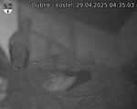 Capi_Dubne_20250429_043503.jpg
