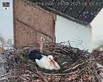 Capi_Dubne_20250429_060002.jpg