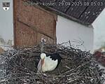 Capi_Dubne_20250429_080504.jpg