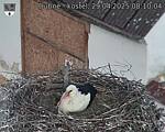 Capi_Dubne_20250429_081004.jpg