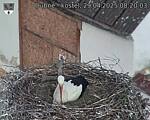 Capi_Dubne_20250429_082003.jpg
