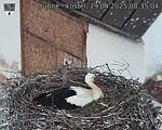 Capi_Dubne_20250429_083504.jpg