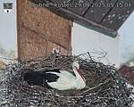 Capi_Dubne_20250429_091504.jpg