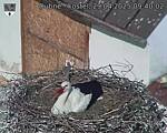 Capi_Dubne_20250429_094002.jpg