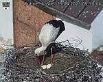 Capi_Dubne_20250429_095004.jpg