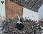 Capi_Dubne_20250429_100004.jpg