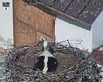 Capi_Dubne_20250429_102004.jpg
