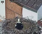 Capi_Dubne_20250429_103504.jpg