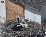 Capi_Dubne_20250429_130503.jpg