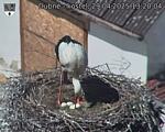 Capi_Dubne_20250429_132004.jpg