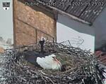 Capi_Dubne_20250429_132502.jpg