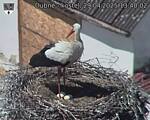 Capi_Dubne_20250429_134002.jpg