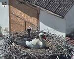 Capi_Dubne_20250429_145504.jpg