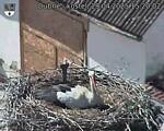Capi_Dubne_20250429_152002.jpg
