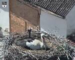 Capi_Dubne_20250429_152503.jpg