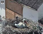 Capi_Dubne_20250429_153503.jpg