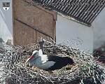 Capi_Dubne_20250429_160004.jpg