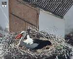 Capi_Dubne_20250429_161002.jpg