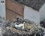 Capi_Dubne_20250429_161503.jpg