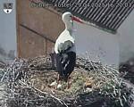 Capi_Dubne_20250429_162003.jpg