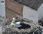 Capi_Dubne_20250429_162502.jpg