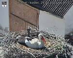 Capi_Dubne_20250429_164502.jpg