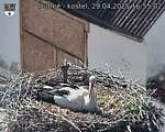 Capi_Dubne_20250429_165502.jpg