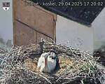 Capi_Dubne_20250429_172003.jpg