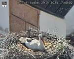 Capi_Dubne_20250429_174002.jpg