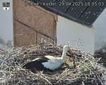 Capi_Dubne_20250429_180503.jpg