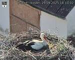 Capi_Dubne_20250429_181002.jpg