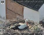 Capi_Dubne_20250429_182503.jpg