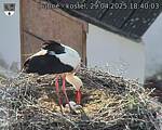 Capi_Dubne_20250429_184003.jpg