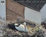 Capi_Dubne_20250429_185003.jpg