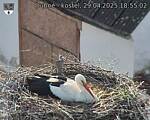 Capi_Dubne_20250429_185502.jpg