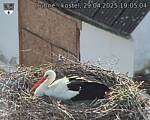 Capi_Dubne_20250429_190504.jpg