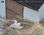 Capi_Dubne_20250429_191002.jpg
