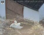 Capi_Dubne_20250429_191502.jpg